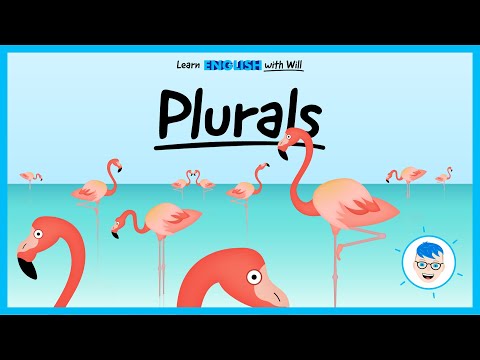 Video: Welches ist der Plural von Flamingo?