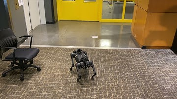 Quadruped navigation with dynamic obstacle collision avoidance