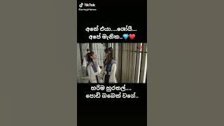 Hwarang Sinhala Han sung cute moment😂😂💙❤