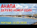 #АНАПА. ПОГОДА 14.02.2020. ДЕРЕВО НОМЕР ОДИН. ЦЕНТРАЛЬНЫЙ ПЛЯЖ. Парк аттракционов. Солнечно и тепло!