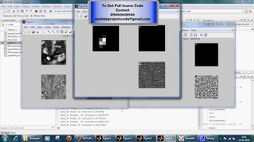 video1Parametric Blur Estimation for Blind Restoration of Natural Images