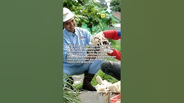 PLN IP buat ITPLN Untuk menghadapi Transisi Energi di Indonesia #PLNIP