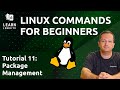 Linux Commands for Beginners 11 - Intro to Package Management on Debian-based Distributions