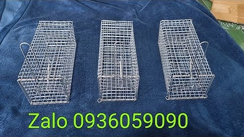 Bán bẫy sóc bông, bán bẫy chuột cống nhum, bán bẫy sóc đất, bán bẫy dông cát, zalo 0936059090.