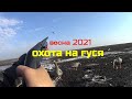 охота на гуся 2021 часть3 #охотанагуся2021