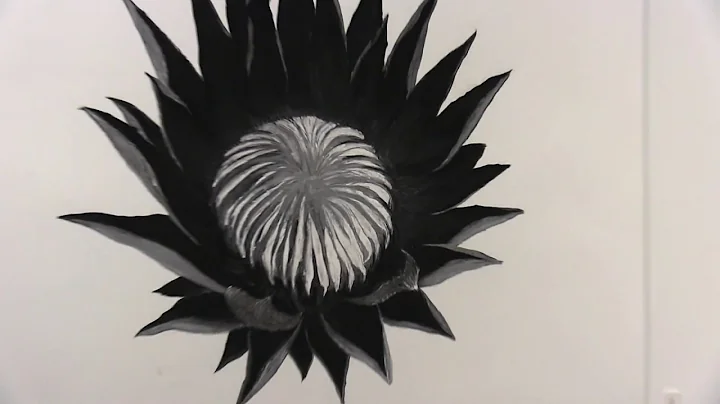 Elaine michaud - Think ROund FIne Arts 6 10 2017