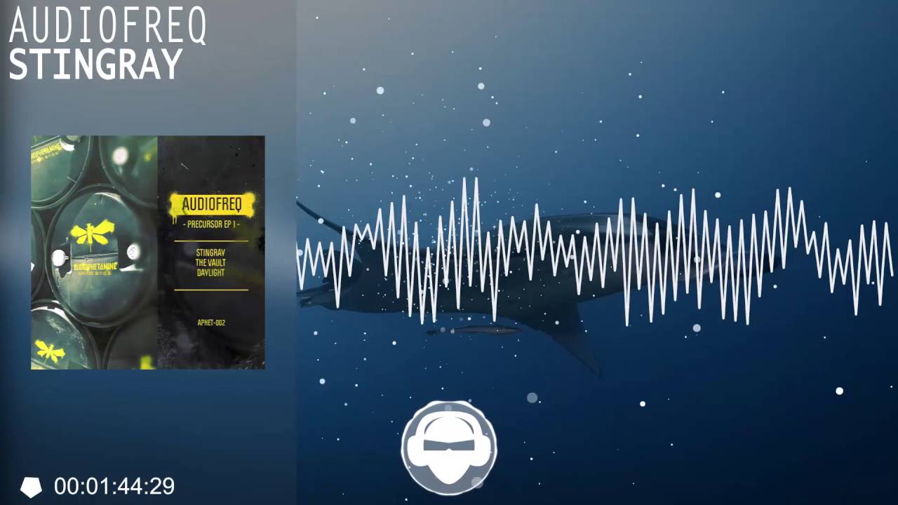 Ver Audiofreq - Stingray en YouTube Ver Audiofreq - Stingray en YouTube