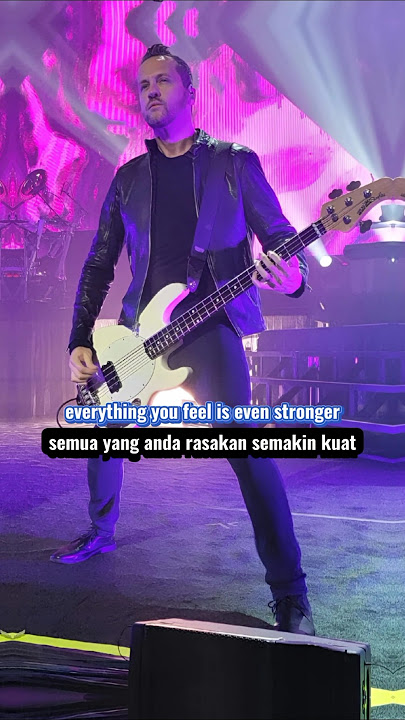 An Escape When Emotions Run High #shorts #evanescence #quotes