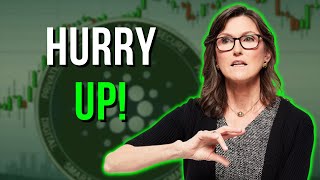 Cathie Wood: NO ONE Will Be Able To Buy Cardano (ADA) After 3 July!