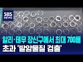 알리·테무 장신구에서 최대 700배 초과 '발암물질 검출' / SBS