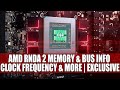 AMD RNDA 2 Memory & Bus Info | Clock Frequency & More | EXCLUSIVE