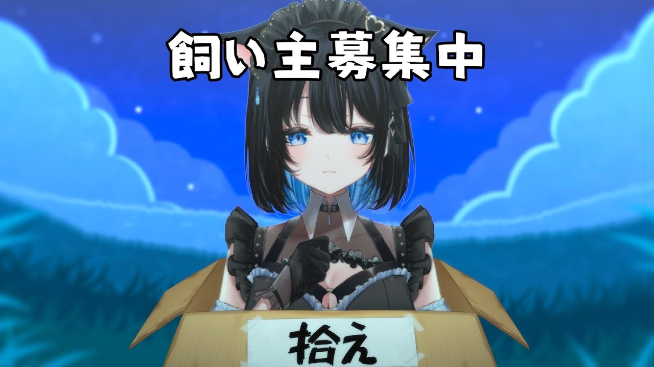 【雑談】飼い主募集中。誰か拾ってください。可愛いって言われるのが好きです。【葵井詩雫】 vtuber talk