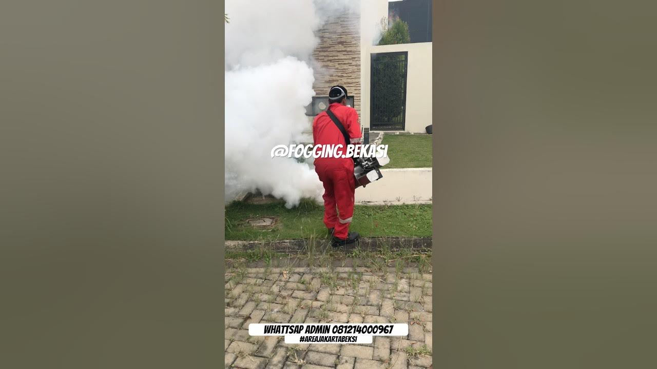 Fogging massal nyamuk DBD #fogging #dbd #fypシ゚viral #fypindonesia #video #videoviral #shorts #bekasi Fogging massal nyamuk DBD #fogging #dbd #fypシ゚viral #fypindonesia #video #videoviral #shorts #bekasi