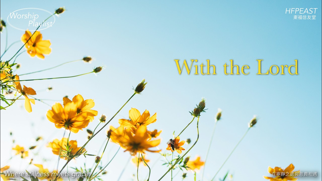 [Playlist] 躺臥在青草地上｜詩歌鋼琴敬拜音樂｜CCM Instrumental｜1 Hour Piano Worship｜靈修 放鬆 禱告 工作BGM