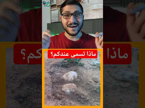 الكمأة من المن وماؤها شفاء للعين