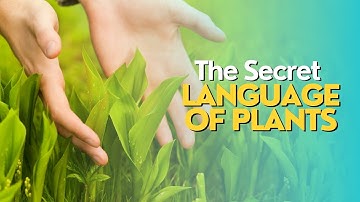 The Secret Language of Plants