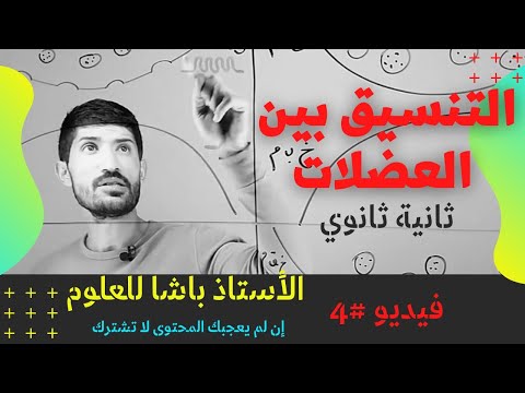 4 ثانية ثانوي الدرس 2 الجزء 2 النقل المشبكي
