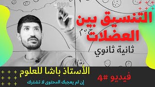 #4 | ثانية ثانوي - الدرس 2 (الجزء 2) النقل المشبكي