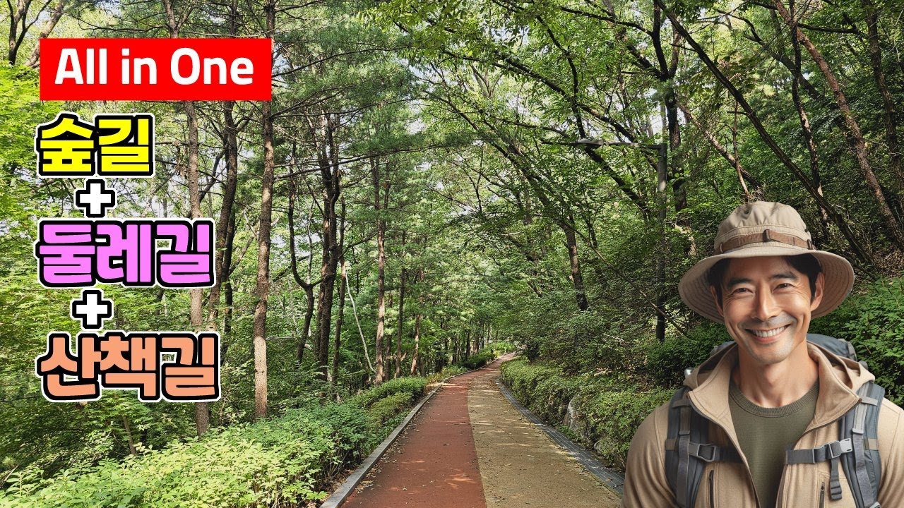 All in One - 가을에 걷기 좋은 숲길+둘레길+산책길 - 모두 여기에...| ‍🚶🏻트레킹 코스 | 도심산책 | 서울산책 | 대중교통 당일치기 여행ㅣ지하철 여행ㅣ