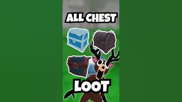 What’s Inside EVERY Chest? 🤯 Full Loot Reveal – 99 Nights in the Forest (UPDATED) - Roblox