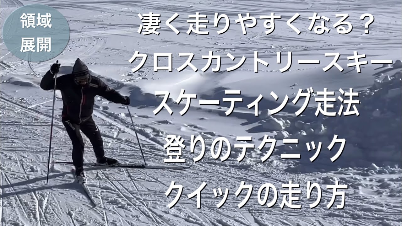 クロスカントリー、スケーティング用になります。