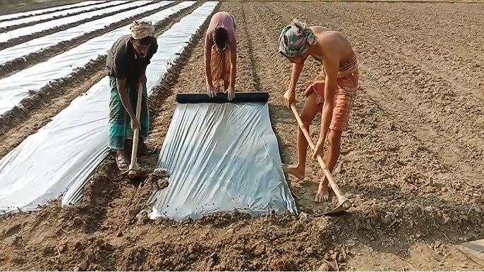 Onanizm bilan shugullanayotgan ayollarga qarash Pick-up artistlar qizlarni jinsiy aloqa videolari uchun suratga olishadi