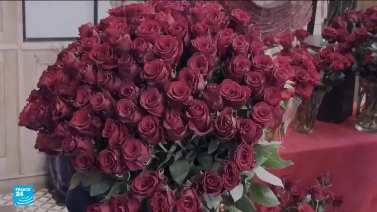 ��� ���� .. �� ���� ���� ������ � � ����� 24 / FRANCE 24
 - نشر قبل 15 دقيقة