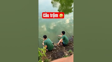 Câu cá trong đơn vị 🤣 #mtfishing #fishing #cauca #fishingvideo