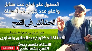 حشائش القمح وكيفيةالقضاء عليها للحصول على اعلى انتاجية/Elimination of weeds in wheat