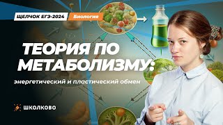 ЩЕЛЧОК к ЕГЭ 2024 по биологии | Теория по метаболизму: энергетический и пластический обмены