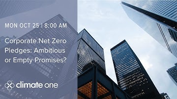 Corporate Net Zero Pledges: Ambitious or Empty Promises?