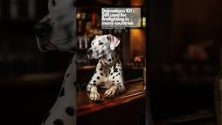 Dalmatians 101 Origins And Pop Culture
