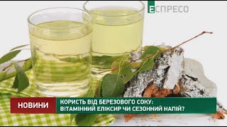 Користь від березового соку: вітамінний еліксир чи сезонний напій?