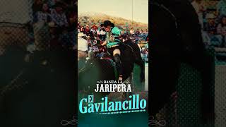 Banda La Jaripera - El Gavilancillo [ Morena Music ] #shorts