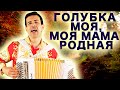 Сердце Замирает от Восторга! Голубка моя, моя мама родная - поет Вячеслав Абросимов