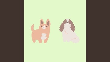 Pulsating Backdrops for Dogs and Dreams