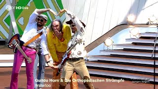 Guildo Horn & Die Orthopädischen Strümpfe - Waterloo-  | ZDF Fernsehgarten, 12.05.2024