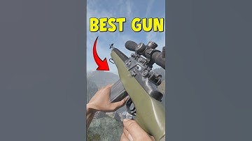 Is The VSD Better Than The DMR✅