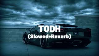 Todh [Slowed Reverb] | Punjabi Song