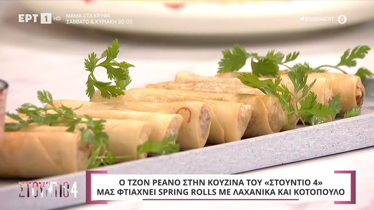 Spring rolls με λαχανικά και κοτόπουλο | Τζον Ρεάνο