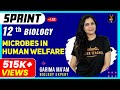 Microbes in Human Welfare | Full Chapter Revision | 12th Board Sprint | NCERT Biology | Garima Ma'am