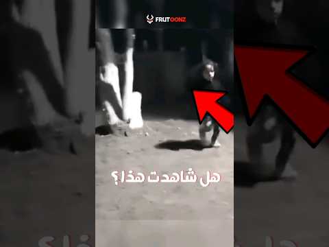 فيديو: Cuteness مقابلات دوغ الصلصال