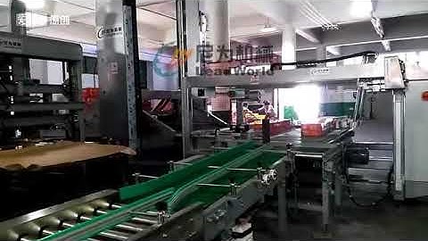 carton low level palletizer