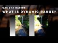 Camera Basics - Dynamic Range