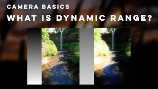 Camera Basics - Dynamic Range