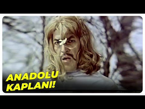 Seninle Film Çevireceğiz Abicim! | Tamam Mı Canım? - Sadri Alışık Eski Türk Filmi