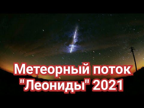 Видео: Ягодов пандишпан с екзотични захаросани плодове