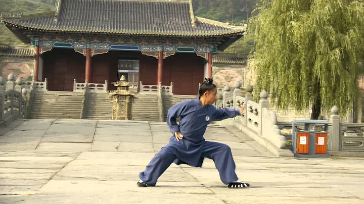 Wu Dang Ba Ji Quan -- Yuan Shen You