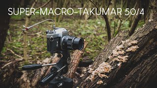 Woodland Macro Photography with the Super-Macro-Takumar 50/4 | Pentax Spotmatic | Film Photography