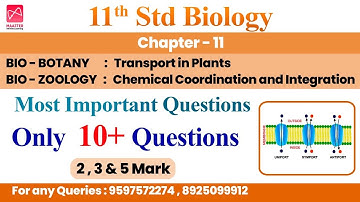 11th Std Biology | Chapter - 11 | Most Important Questions | Only 10+ Questions - Public Centum Plan